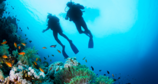 plongée sous marine à Eilat